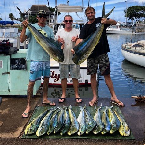 17 Best Mahi.